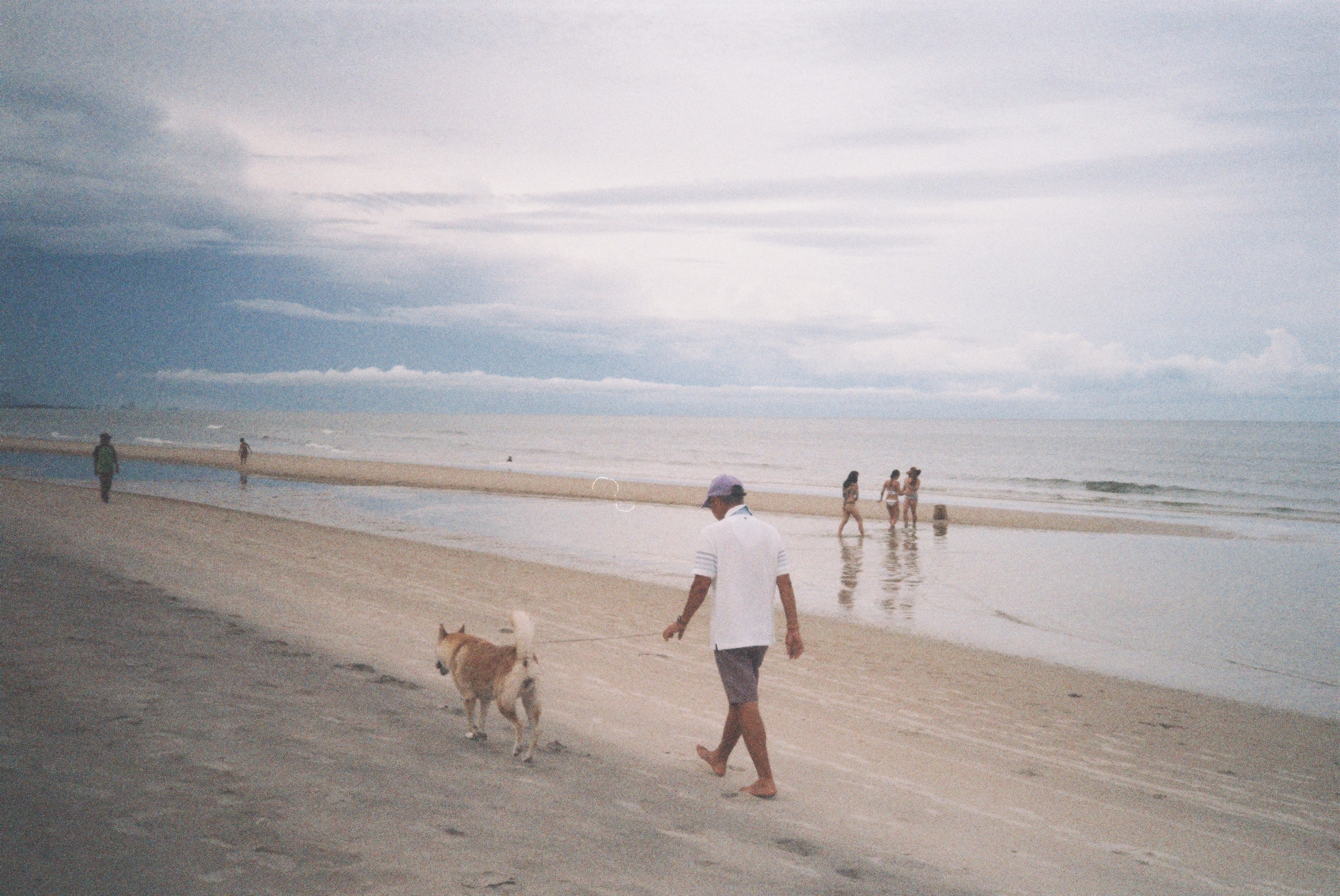 film